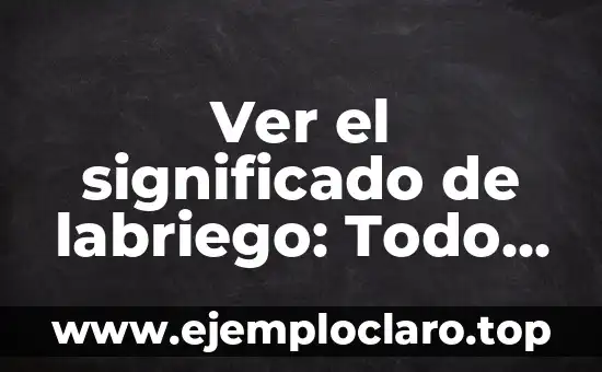Ver el significado de labriego: Todo sobre su definición y relevancia