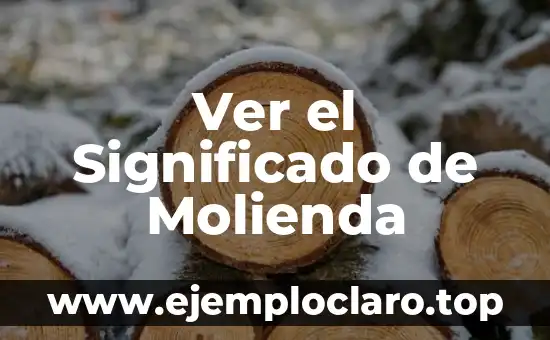 Ver el Significado de Molienda