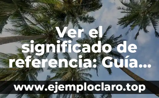 Ver el significado de referencia: Guía Completa y Detallada