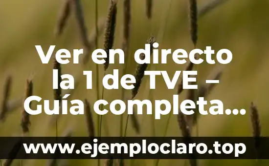 Ver en directo la 1 de TVE - Guía completa para disfrutar de la televisión en línea