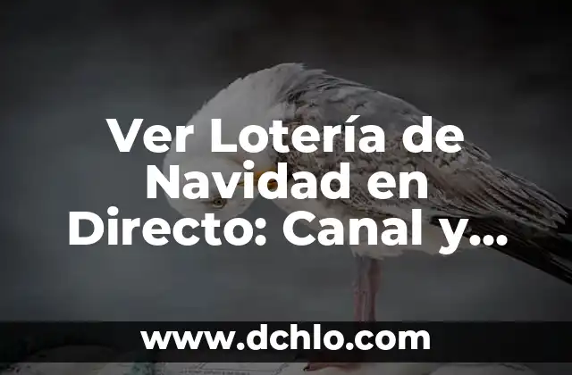 ¿Cómo ver la 2 de TVE en directo desde cualquier lugar? 8 Ver Lotería de Navidad en Directo: Canal y Horario de Transmisión