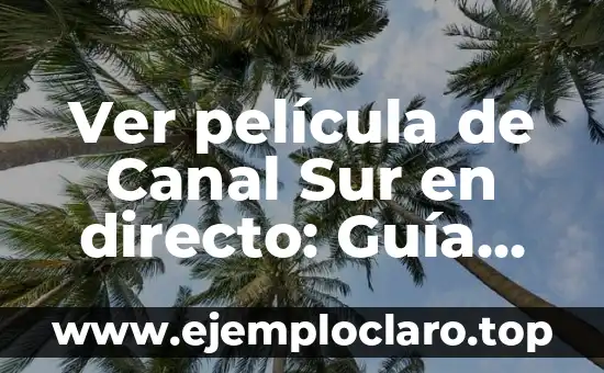 Ver película de Canal Sur en directo: Guía definitiva