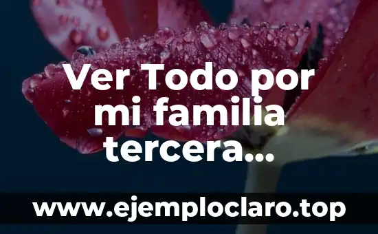 ¿Cómo saber si mi hijo es autista? 3 Ver Todo por mi familia tercera temporada Dailymotion Online Gratis
