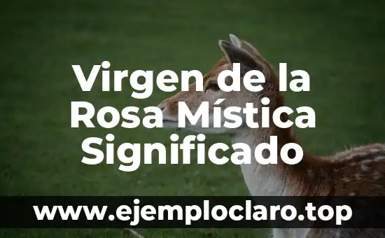 Virgen de la Rosa Mística Significado