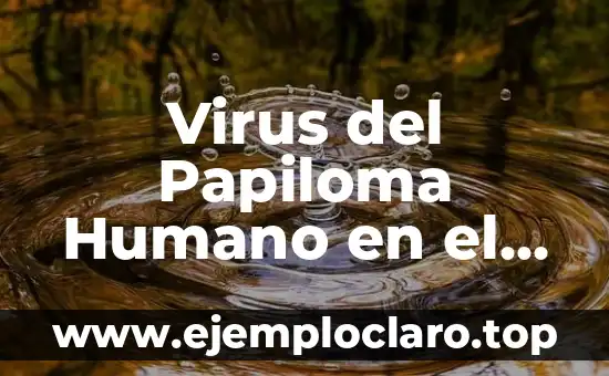 ¿El virus del papiloma humano tiene cura? Descubre la verdad 4 Virus del Papiloma Humano en el Glande: Cómo Identificar y Tratar esta Condición