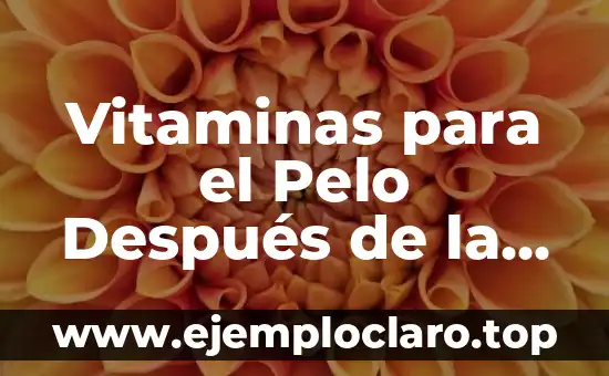 Vitaminas para el Pelo Después de la Quimioterapia: ¿Cuál es la Mejor Opción?