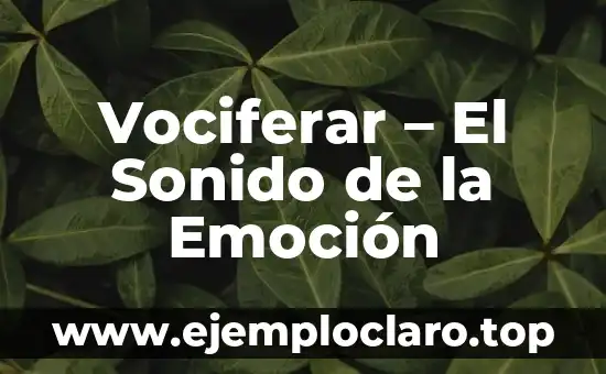 Vociferar – El Sonido de la Emoción
