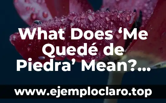 What Does ‘Me Quedé de Piedra’ Mean? A Complete Guide to Its Meaning and Usage