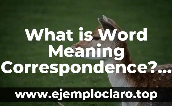 What is Word Meaning Correspondence? A Complete Guide