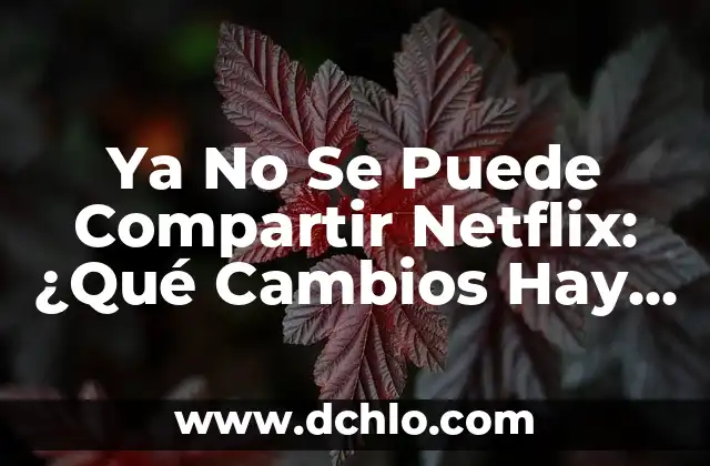 Cómo Compartir una Historia en Instagram: Una Guía Completa 7 Ya No Se Puede Compartir Netflix: ¿Qué Cambios Hay en la Política de Uso?