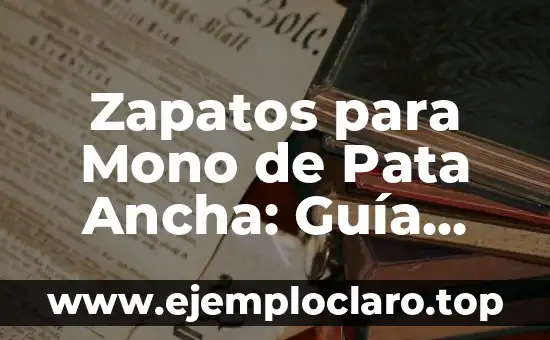 Como Hacer Manga Ancha 8 Zapatos para Mono de Pata Ancha: Guía Completa y Detallada