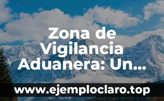 Zona de Vigilancia Aduanera: Un Concepto Clave en la Seguridad Fronteriza